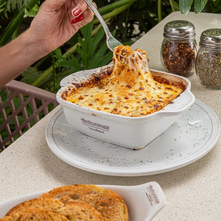 Lasagna Vegetariana