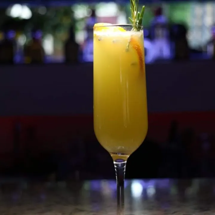  Mimosa 