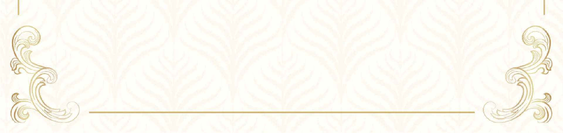 BANNER FIN