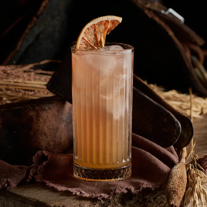 Paloma 