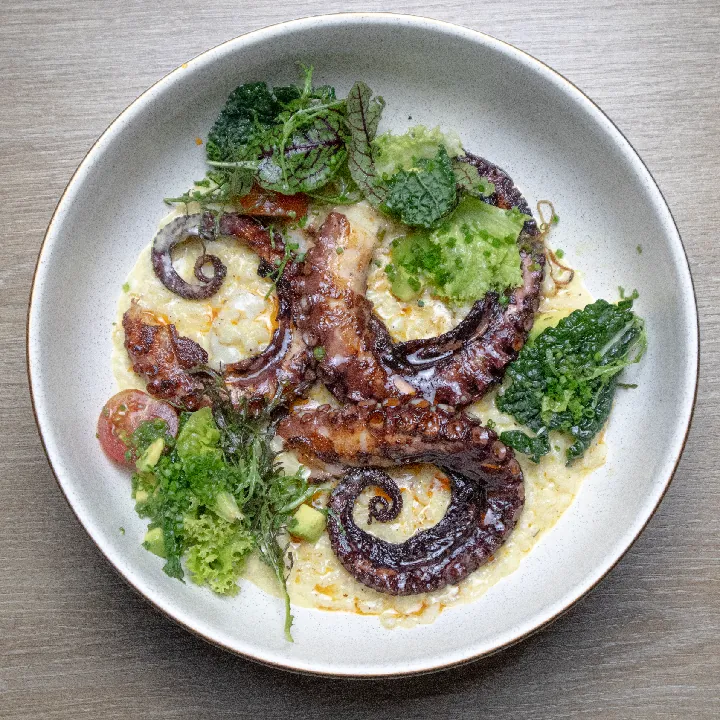 PULPO RISOTTO