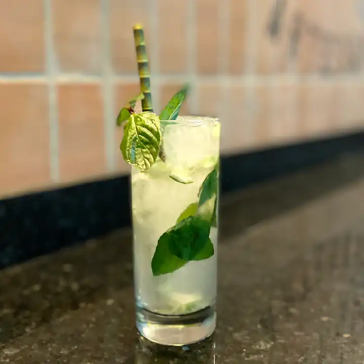Mojito Virgen