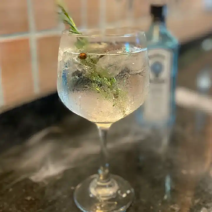 Gin&tonic Tradicional