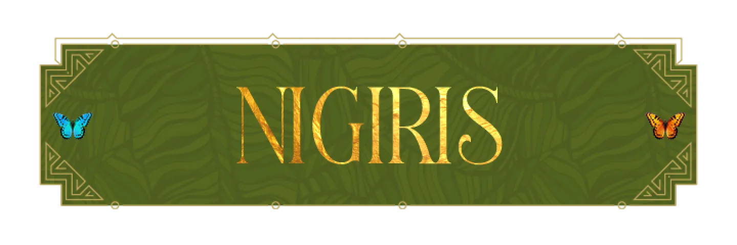 NIGIRIS CLÁSICOS