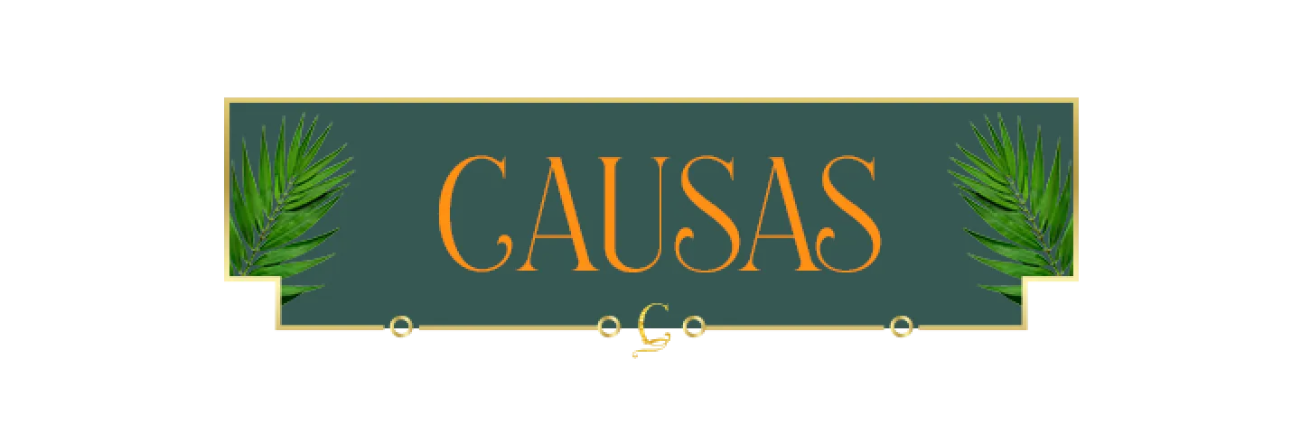 CAUSAS