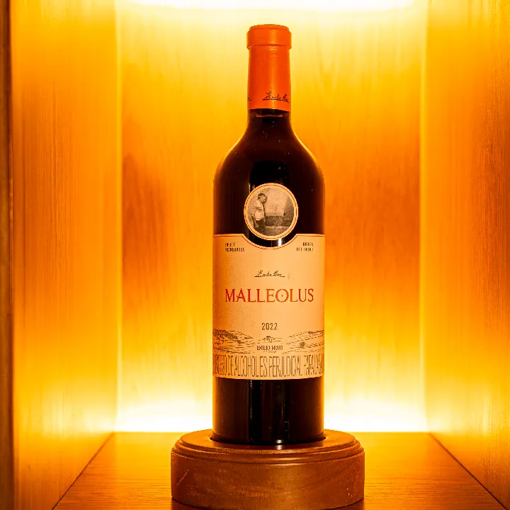 EMILIO MORO MALLEOLUS