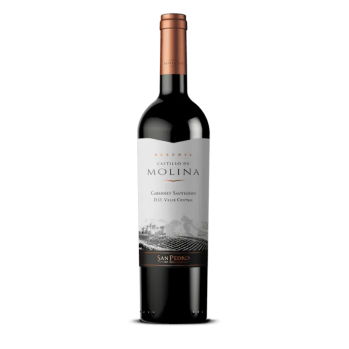 Castillo Molina Cabernet Sauvignon