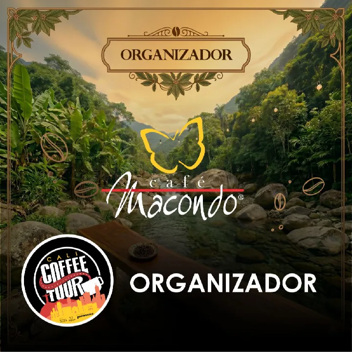 CAFE MACONDO