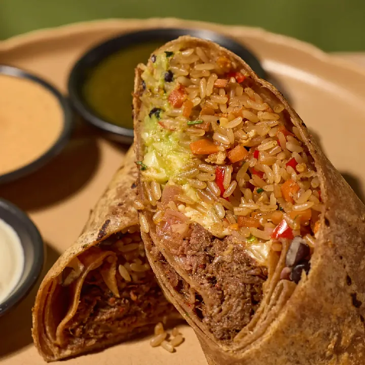 Birria Burrito