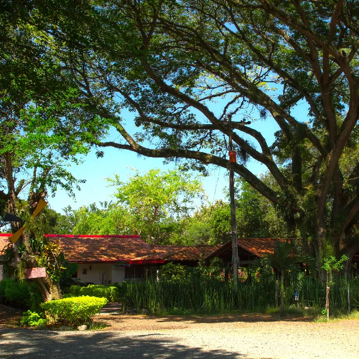 El viejo Molino