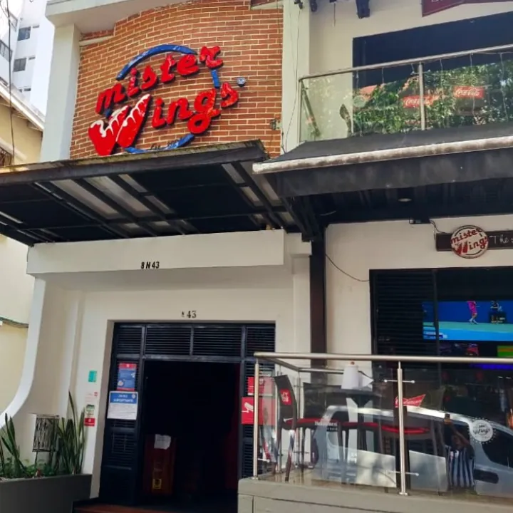 Mister Wings