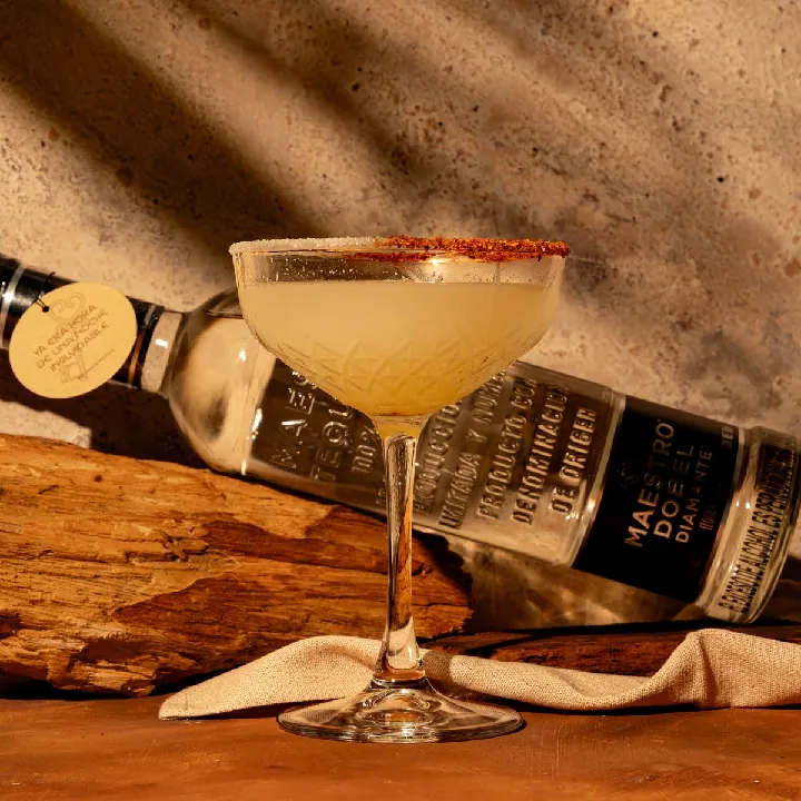 MAESTRO DOBEL