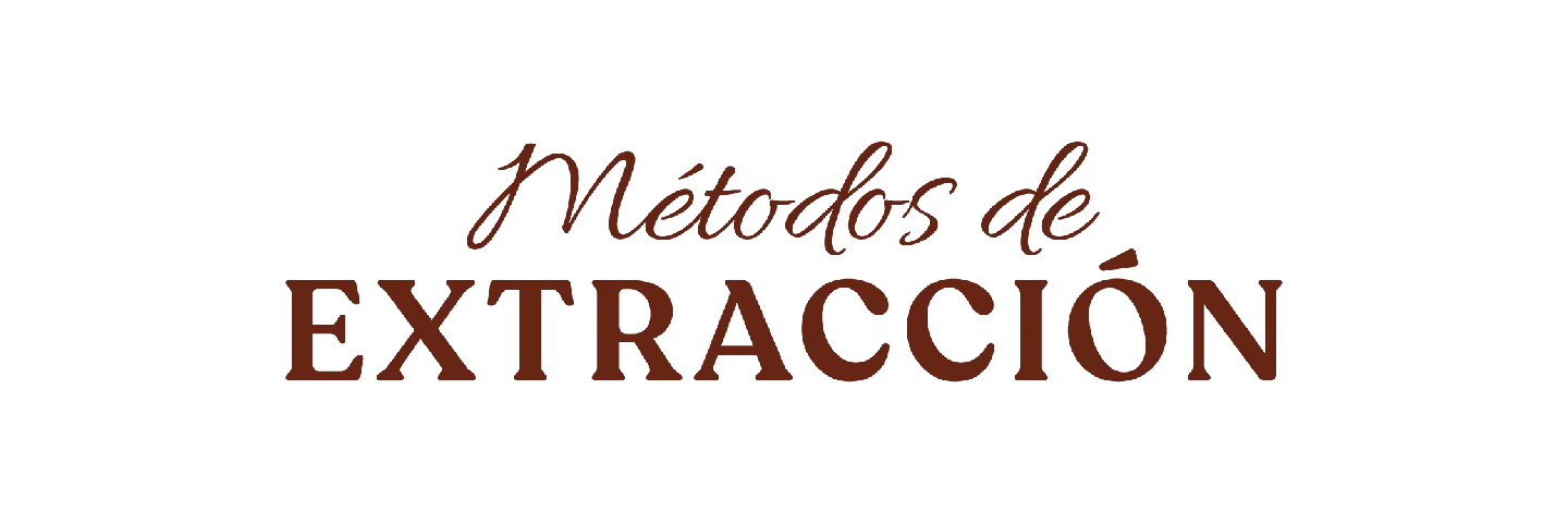Métodos de Extracción