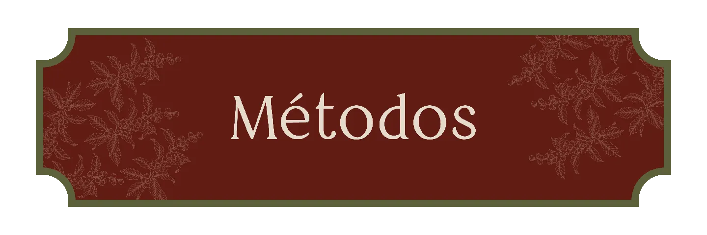 MÉTODOS