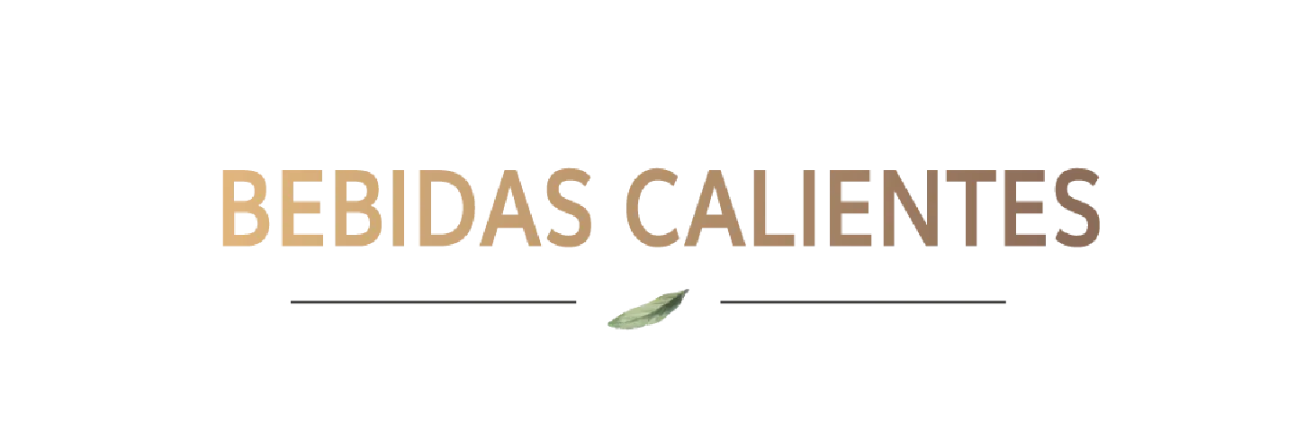 Bebidas calientes