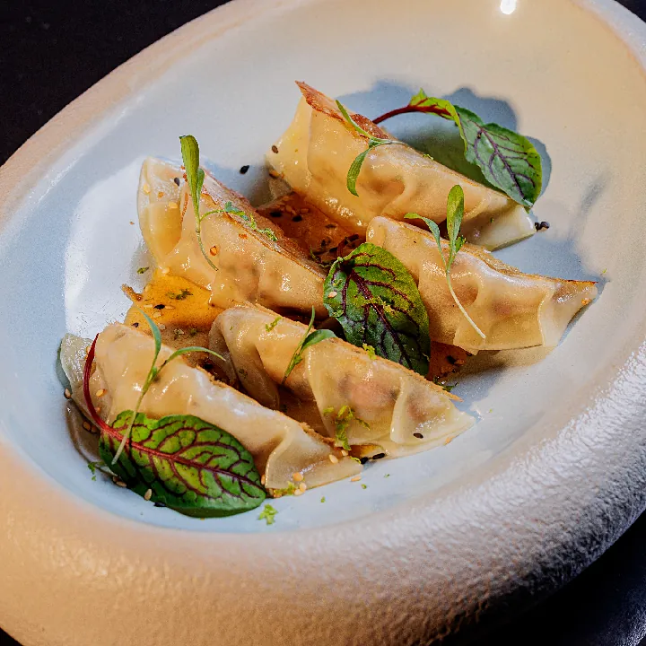 Gyozas de Camarón y Pulpo