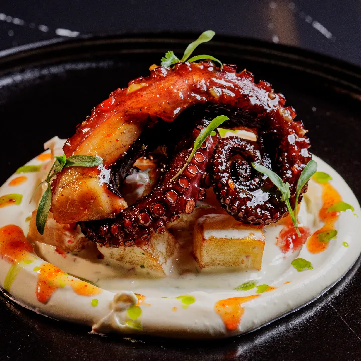 Pulpo Otosan