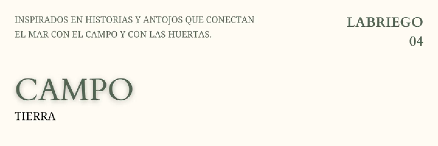 Campo