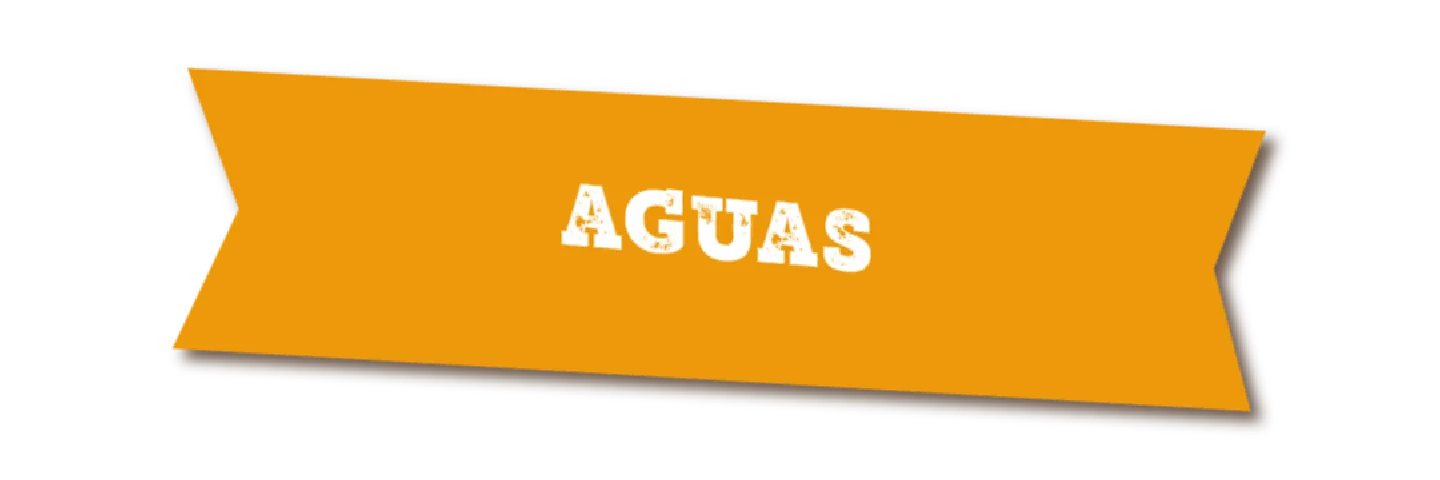 AGUAS