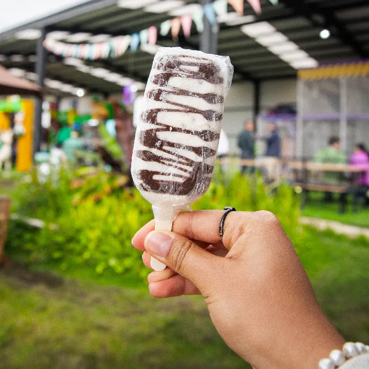 Paleta Chocolate ligth