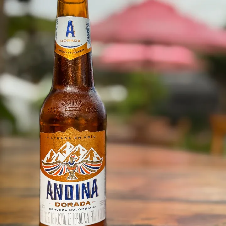 Andina