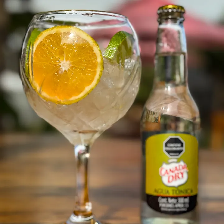 Gin and Tonic