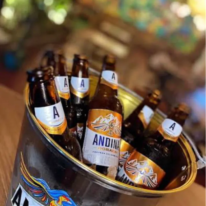 Cubetazo de cerveza Andina 