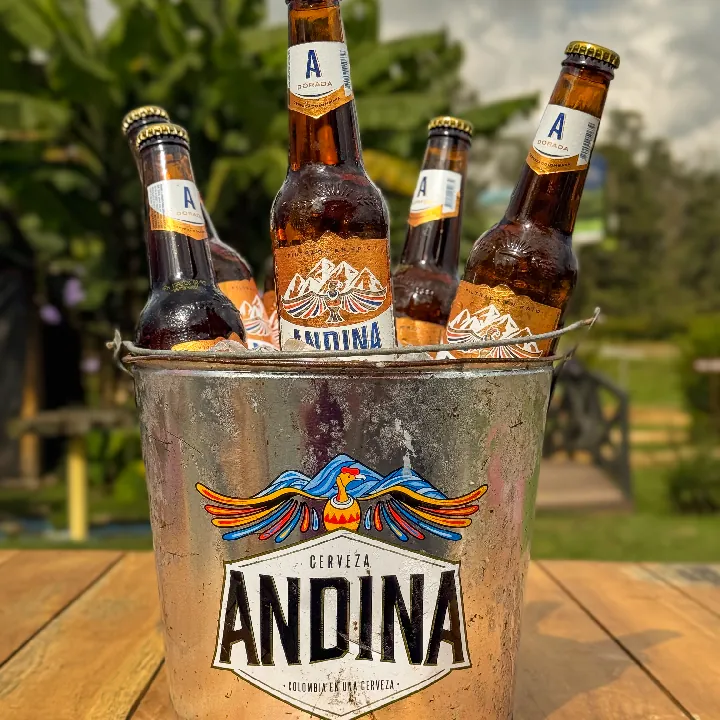 Cubetazo de Cerveza Andina 