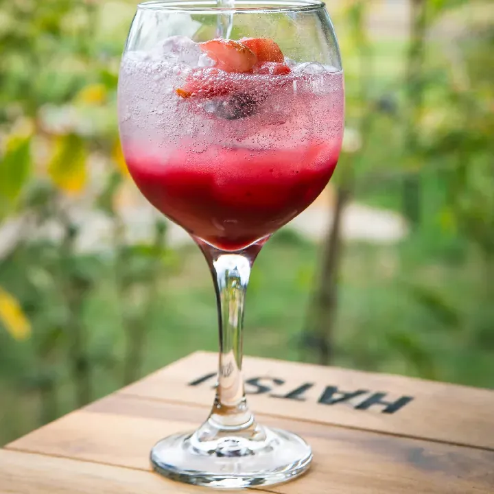 Soda de Frutos Rojos