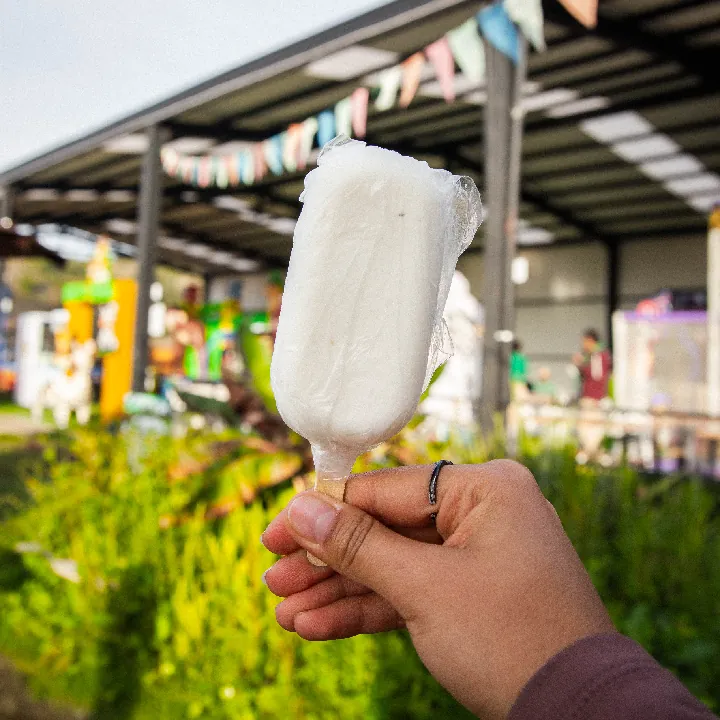 Paleta Guanabana