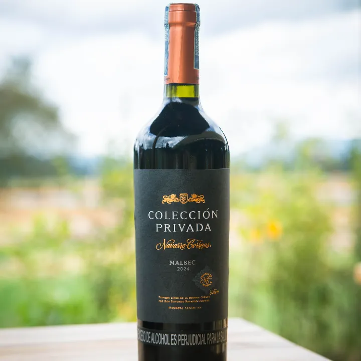 Navarro Correa Malbec
