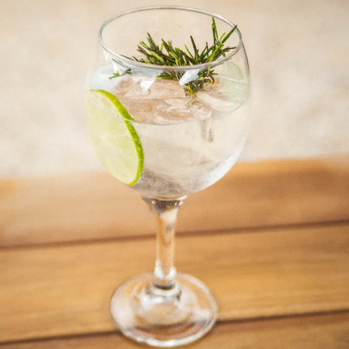Gin and Tonic