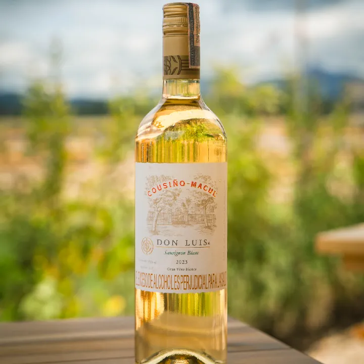 Cousiño Macul Sauvignon Blanc