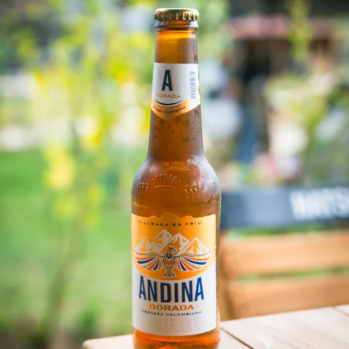 Andina