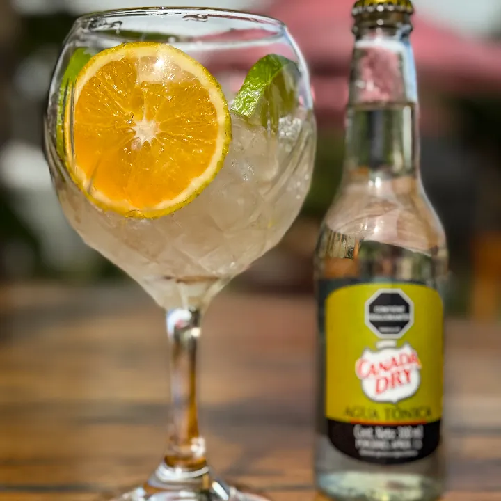 Gin and Tonic