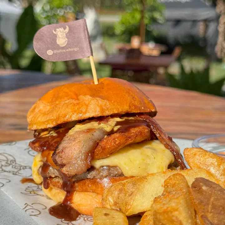 Hamburguesa de Rigo 