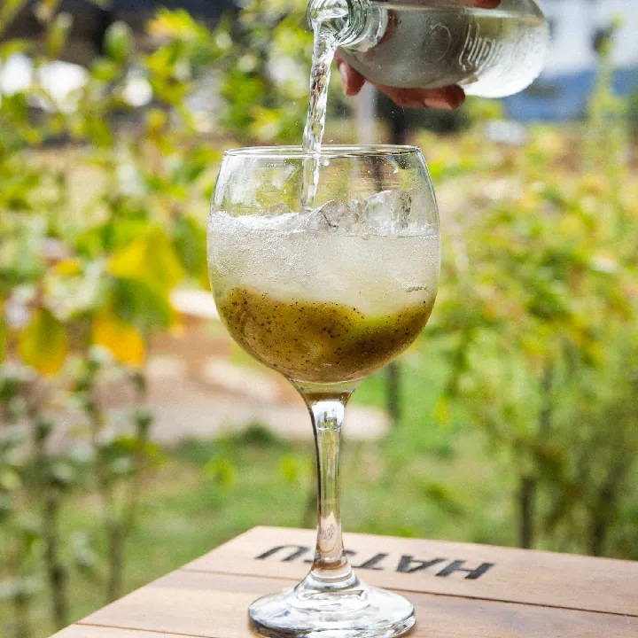 Soda de la Granja (Kiwi)