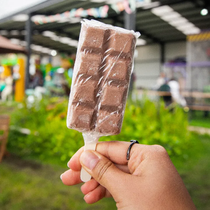 Paleta Chocolate