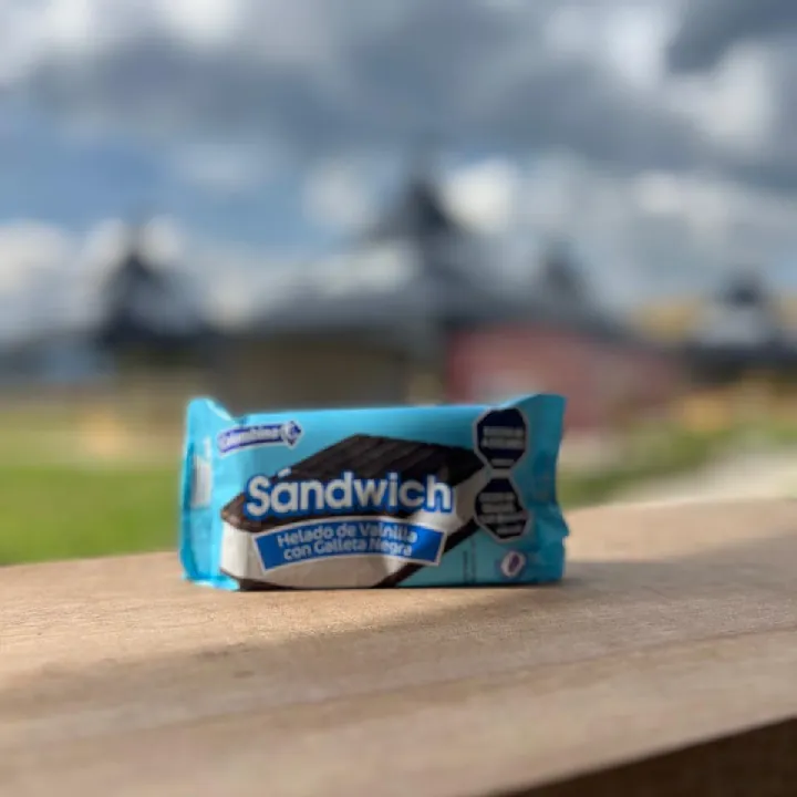 Galleta sandwich