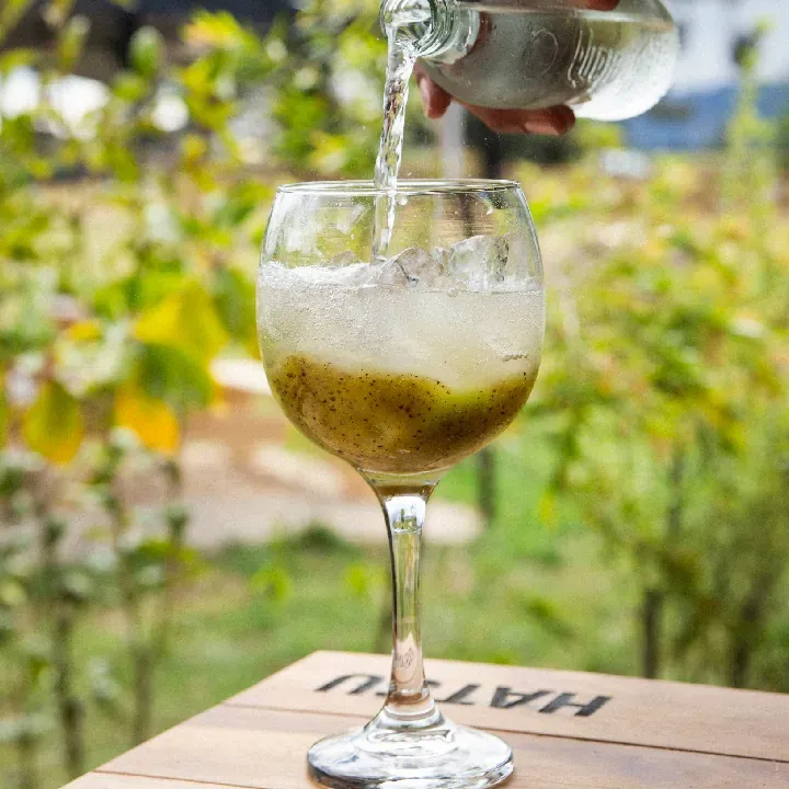 Soda de la Granja (Kiwi)