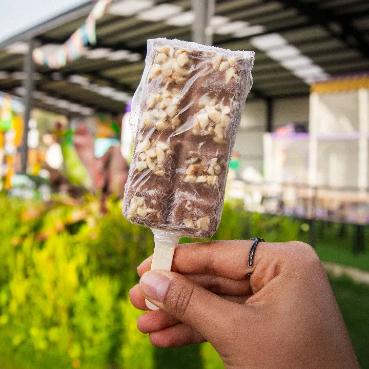 Paleta Bacio Rocher