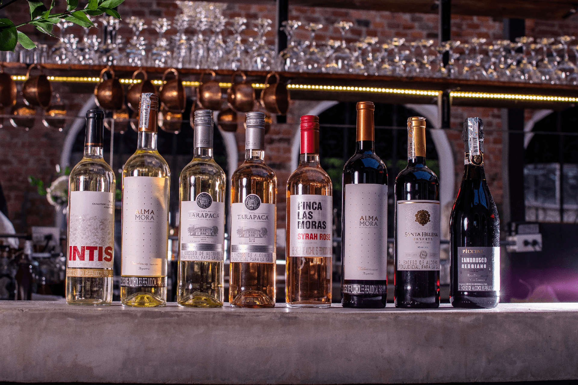 anuncio vinos