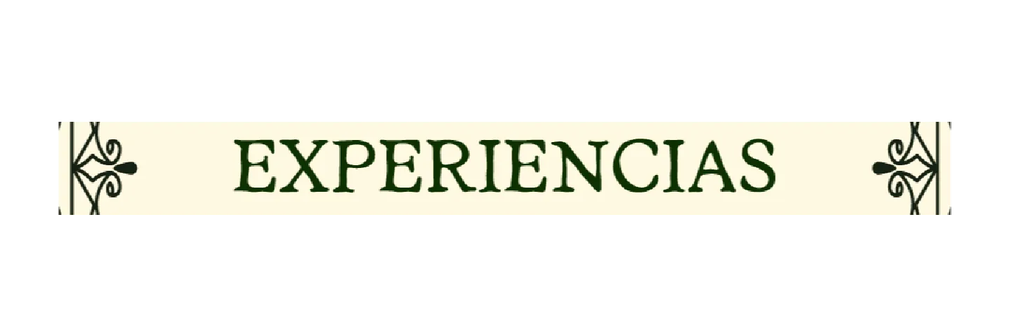Experiencias