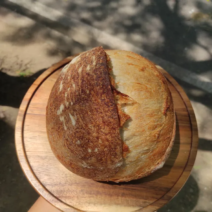PAN MASA MADRE