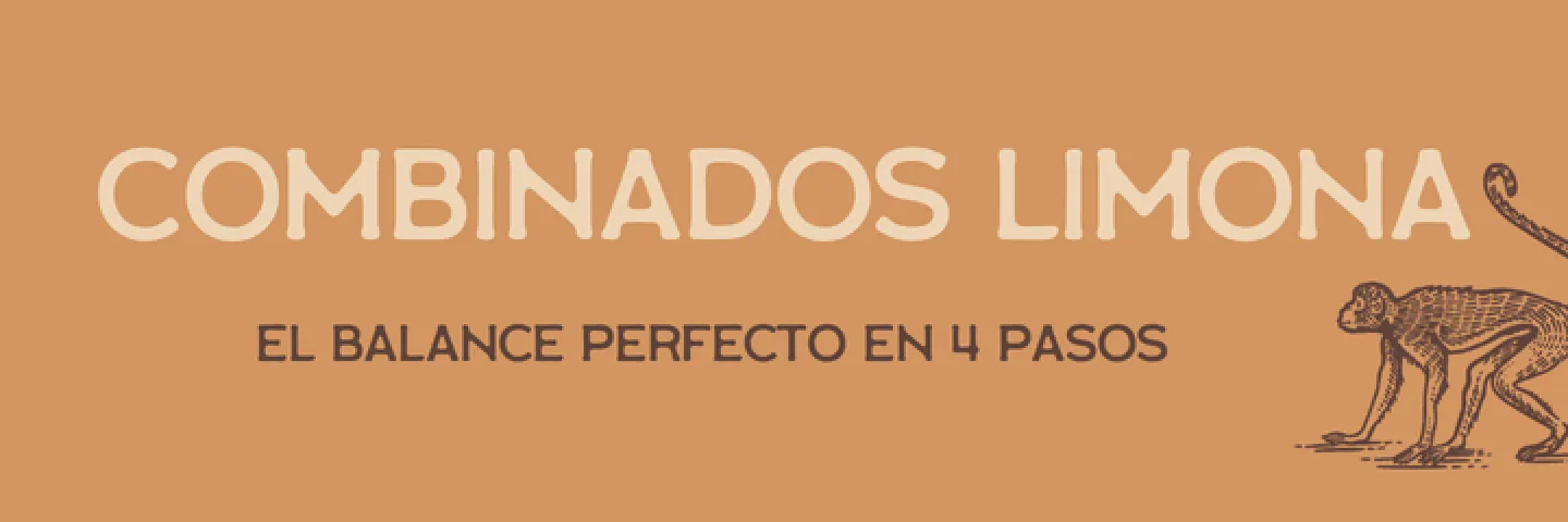 COMBINADOS LIMONA