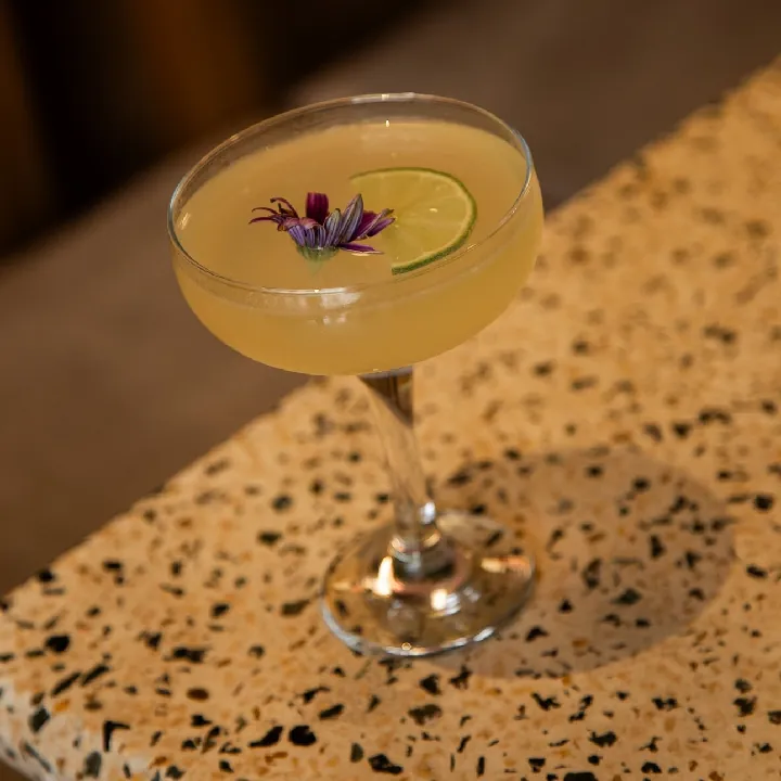 Ginger Bee