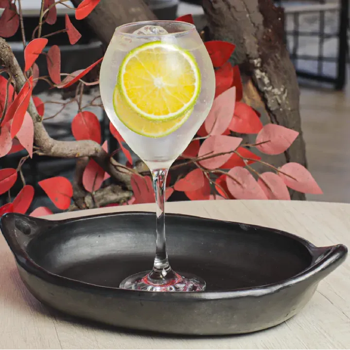 GIN TONIC TANQUERAY