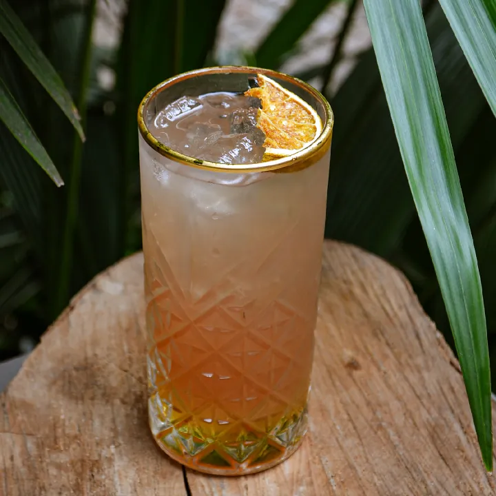 PALOMA