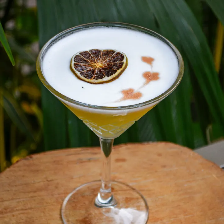 PISCO SOUR