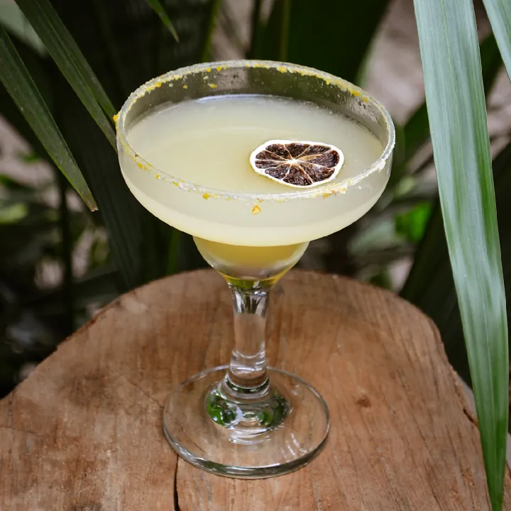 MAZORITA